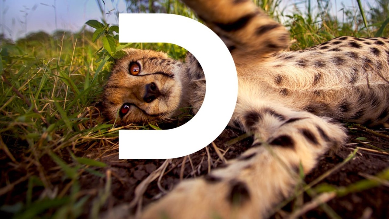 1554771633620362.jpg 微信圖片_20190409085751.jpg