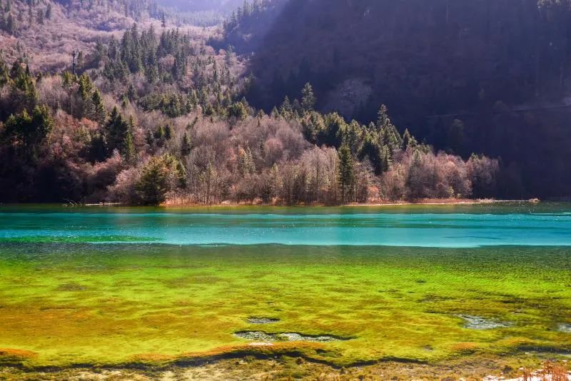 重慶旅游休閑消費季宣傳語及形象LOGO設(shè)計 重慶旅游休閑消費季宣傳語及形象LOGO設(shè)計